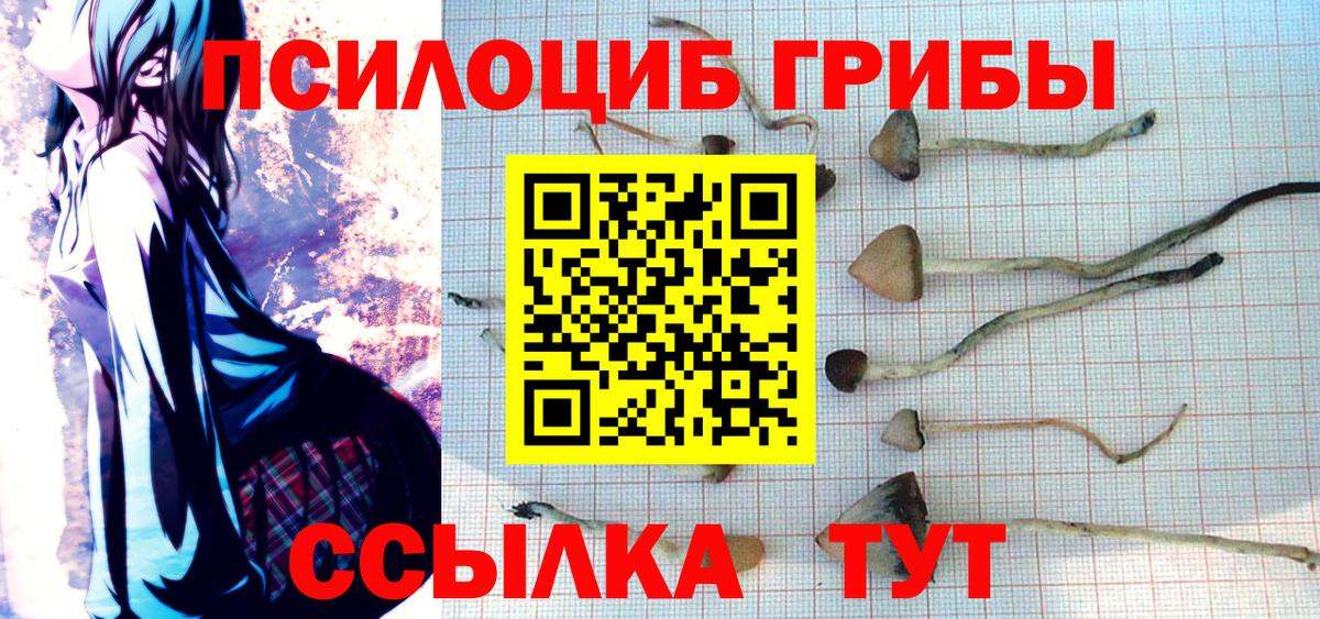 Железноводск  Галлюциногенные грибы Psilocybe  Вход с VPN 
